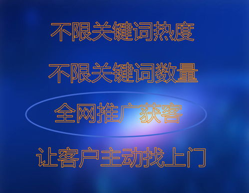 云盟螞蟻項目市場營銷策劃方案 創新驅動，精準觸達